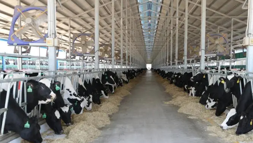 養(yǎng)殖業(yè)